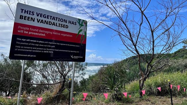 Coolum Tree Poisonings