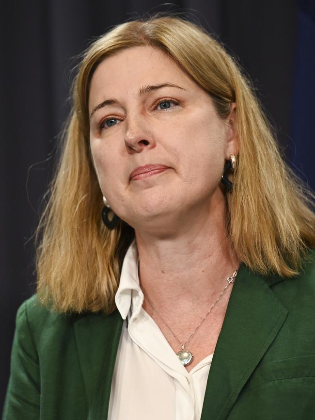 The transition advocate will report to Agriculture Minister Julie Collins. Picture: NewsWire / Martin Ollman