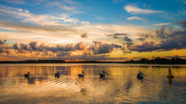 Bomaderry sits on the north of the Shoalhaven River. Picture: Jaiah Stone