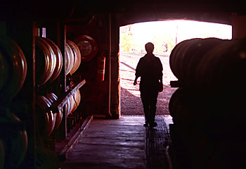 Big red ... Coonawarra is best known for its cabernet sauvignon, but also produces merlot, chardonnay, riesling, even a drop of sauvignon blanc, too