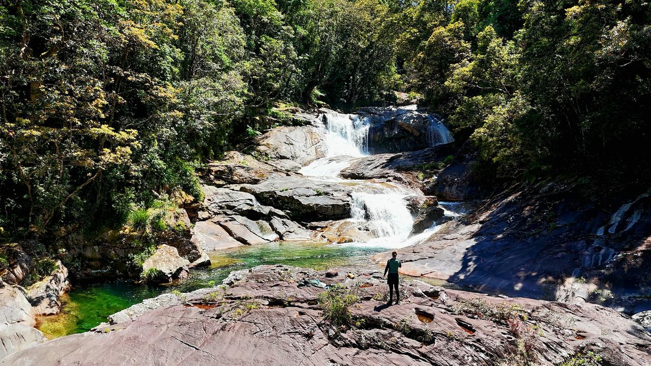 Sean Dromey in Wooroonooran National Park.