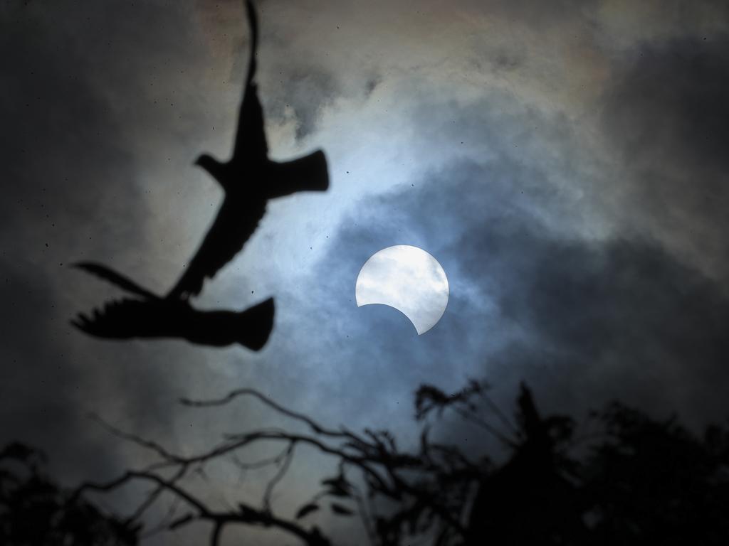 Birds fly past a partial solar eclipse in Hyderabad, India. Picture: AP