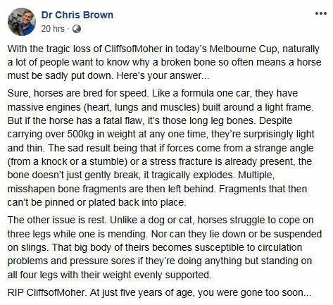 Dr Chris Brown's Facebook post after the death of The Cliffsofmoher in the Melbourne Cup. Picture: Facebook