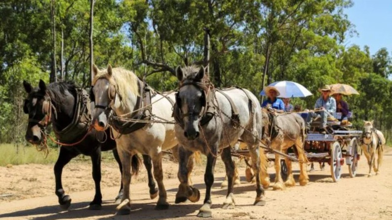 The Eidsvold Cattle Drive is gearing up to make its return in 2024. Image credit: Andrew McInnes.