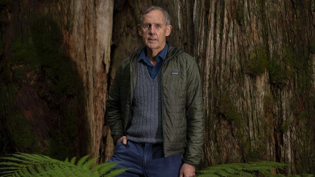 Former Green leader, Bob Brown, is confident legal action by his foundation will halt native forest logging in Tasmania by establishing that the industry is breaking federal environmental law. Picture: Matthew Newton