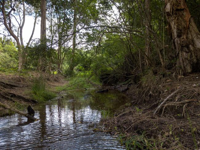 Saltwater Creek as it runs through COSS land at 3017 Avoca Drive, which has become over grown with weeds and not maintained. Picture: supplied