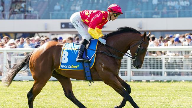 High Octane, on the way to the barriers for the Blue Diamond, finished ninth in the race. Picture: Scott Barbour/Racing Photos via Getty Images