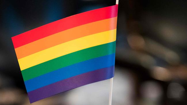 “Many organisations in Australia that have been exposed as grotesque bullies” when it comes to the same sex marriage debate, Piers Akerman writes. Picture: AFP Photo/Odd Andersen