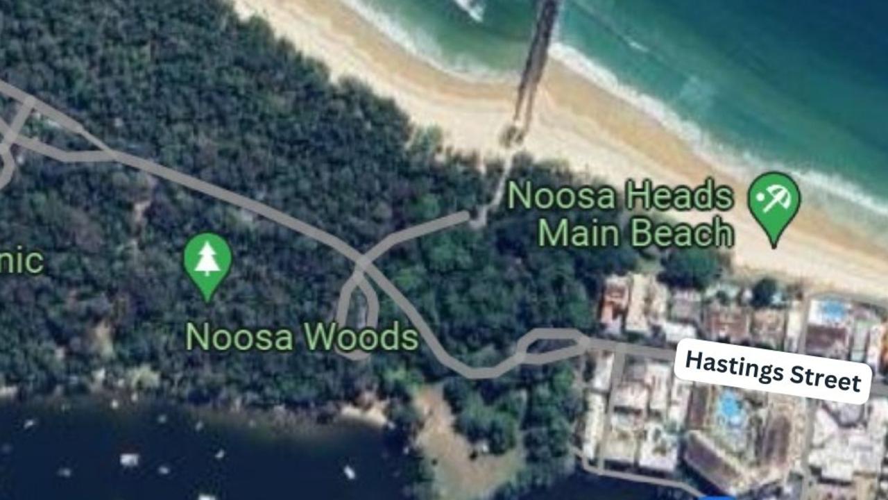 Noosa Woods is a section of national park connected to Hastings St in Noosa. Photo: Google Maps.