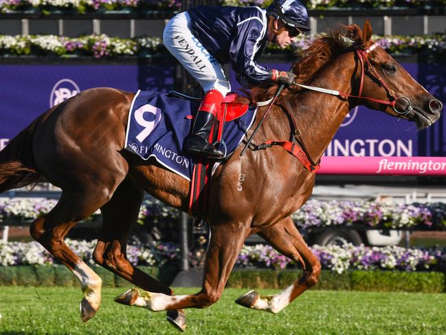 Savoie, ridden by Dean Yendall, is an easy winner of the 1800m Victoria Derby Trial at Flemington. Picture: AAP