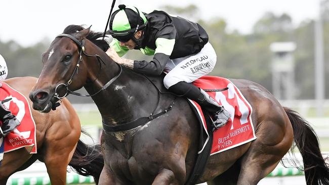 Scallopini has been supported at double-figure odds to take out the seventh race.