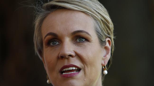 Labor education shadow minister Tanya Plibersek.