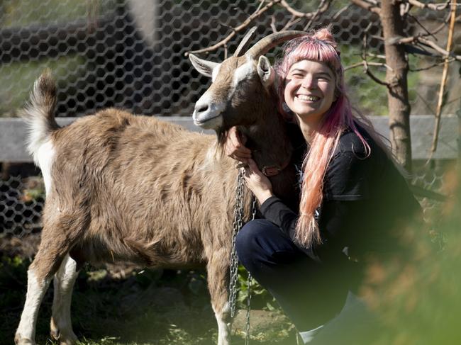 Hannah Moloney with one of her beloved pet goats. Picture: EDDIE SAFARIK