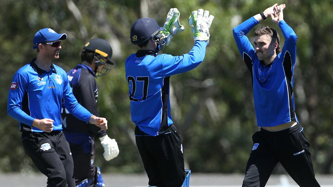 Premier - Jacob Pawlowicz celebrates a wicket for Greenvale. Picture: Hamish Blair