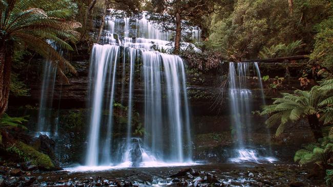 Winter is a perfect time to hunt for waterfalls. Russell Falls, Tasmania. Picture: Craig Doumouras/Waterfalls of Tasmania