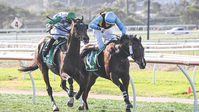 Count Zero prevailed in a close finish with Belle Ex One. Picture: Reg Ryan/Racing Photos via Getty Images