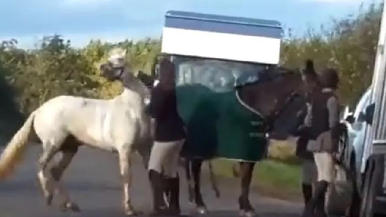 The footage was shared by Hertfordshire Hunt Saboteurs, an anti-hunting group. Picture: Herfordshire Hunt Saboteurs