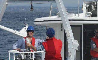 High tech: Research vessel, the Bombora, has been carrying out seabed mapping in the Cape Byron Marine Park.