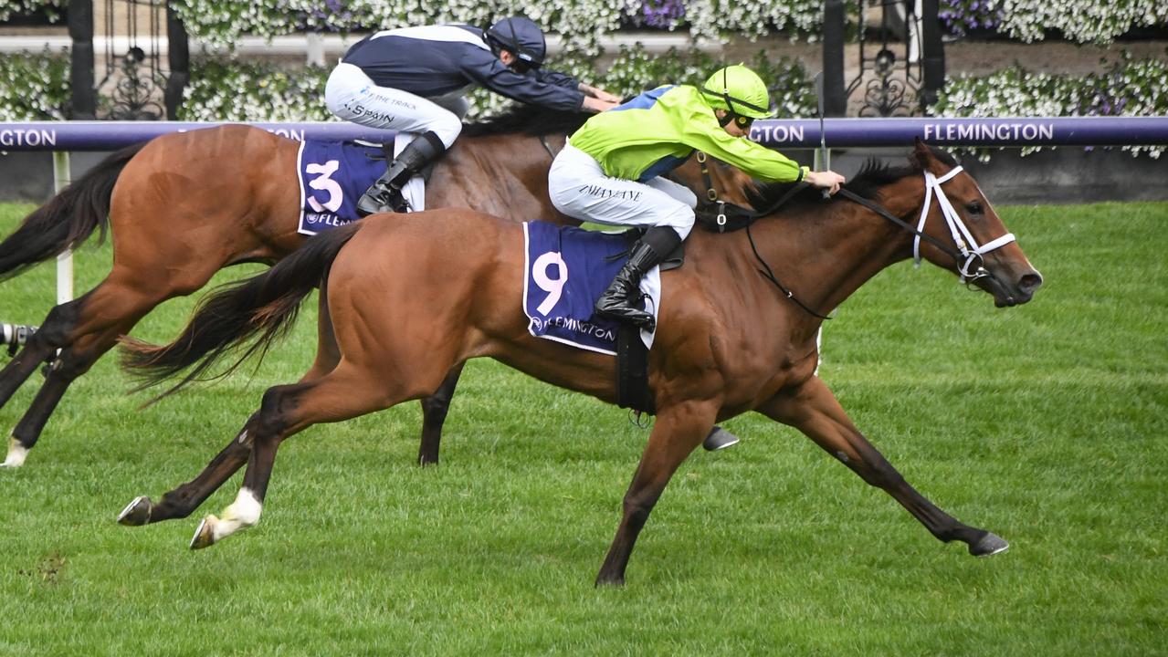 Five horses to follow from Turnbull Stakes Day