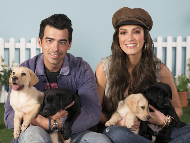 Supplied image of Joe Jonas and Delta Goodrem with puppies on set of The Voice to promote National Puppy Day. Supplied