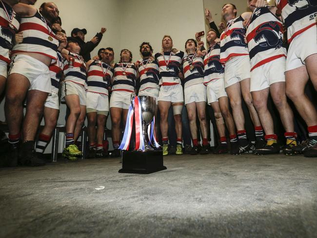Highett players celebrating their victory. Picture: Valeriu Campan