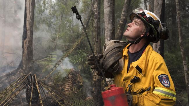 Tom Andrews, of Huonville volunteers, watches flames run up a tree in the Tahune area. Picture: WARREN FREY/TFS