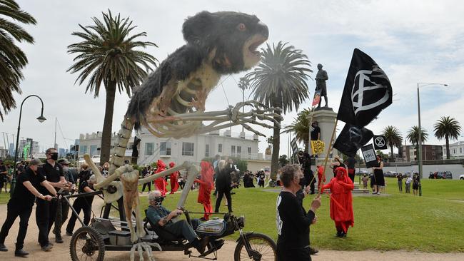 The giant burning koala. Picture: Josie Hayden