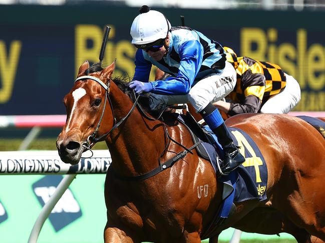 SYDNEY, AUSTRALIA - OCTOBER 14: Kerrin Mcevoy riding Arctic Glamour wins Race 3 Bisley Workwear Reginald Allen Quality during Sydney Racing - TAB Everest Day at Royal Randwick Racecourse on October 14, 2023 in Sydney, Australia. (Photo by Jeremy Ng/Getty Images)