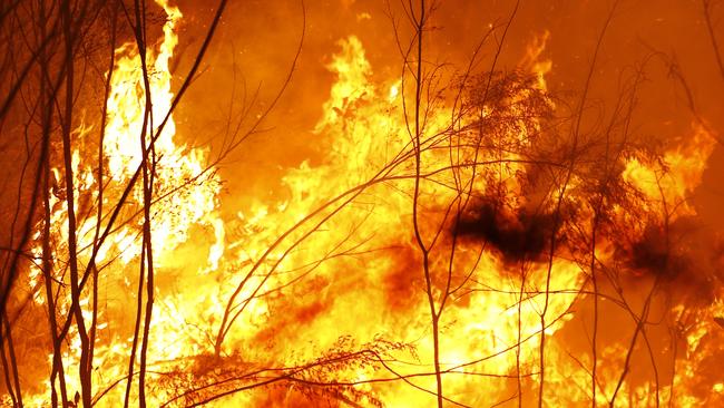 Eastern Gippsland has been one of the worst-hit regions. Picture: Darrian Traynor/Getty Images