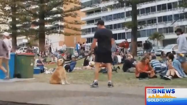 Dog digs his heels in for more time at the park