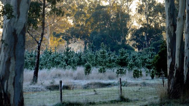 Frost is seen near Meadows in the Adelaide Hills. Picture: File