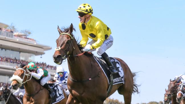 2023 Melbourne Cup champion Without A Fight has been retired. Picture: George Sal/Racing Photos via Getty Images