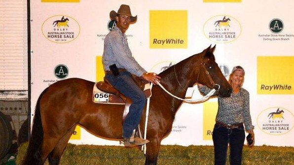 The top priced mare (Lot 56 — Cedargrove Con D Lisa) at the Ray White Equine Dalby Stock Horse Sale. Picture: Ray White Dalby