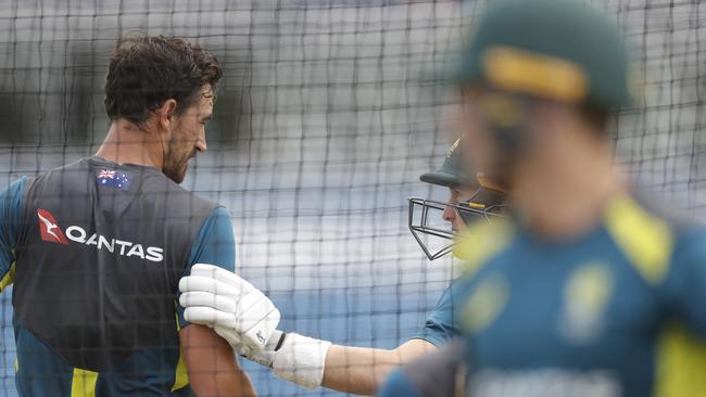 Mitchell Starc checks on Marnus Labuschagne after hitting him in the nets.