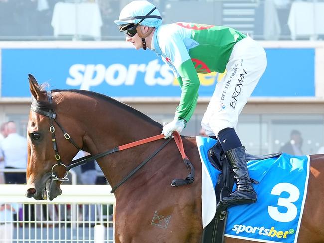 Tuvalu on the way to the barriers prior to the running of the Sportsbet Sir Rupert Clarke Stakes at Caulfield Racecourse on November 16, 2024 in Caulfield, Australia. (Photo by Scott Barbour/Racing Photos via Getty Images)