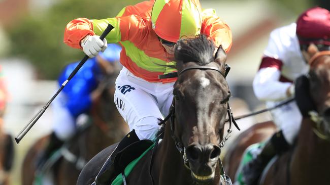 You Make Me Smile could give punters a big finish to the day. Picture: Getty Images