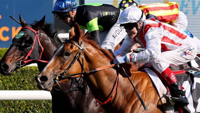 Giga Kick, ridden by jockey Craig Williams, takes out the $15 million Everest at Randwick.