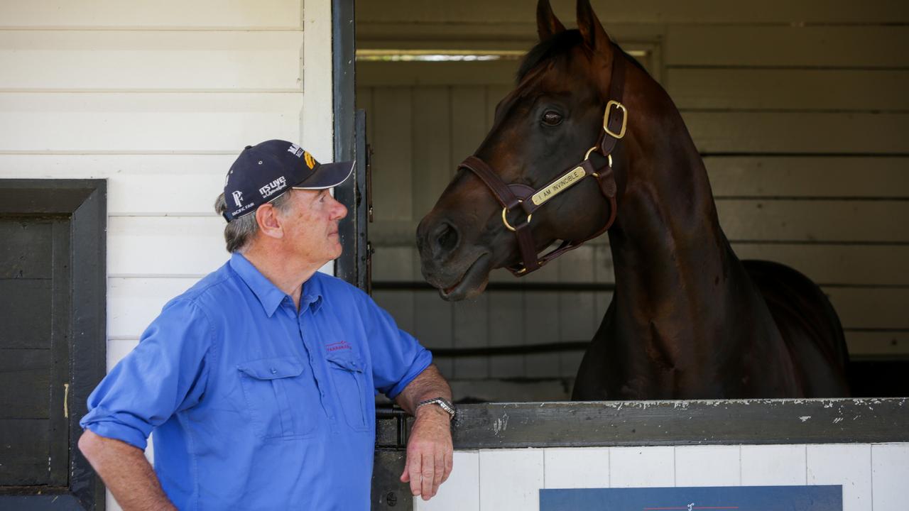 Taree previews: Sale-topper to roll out some Magic at Taree