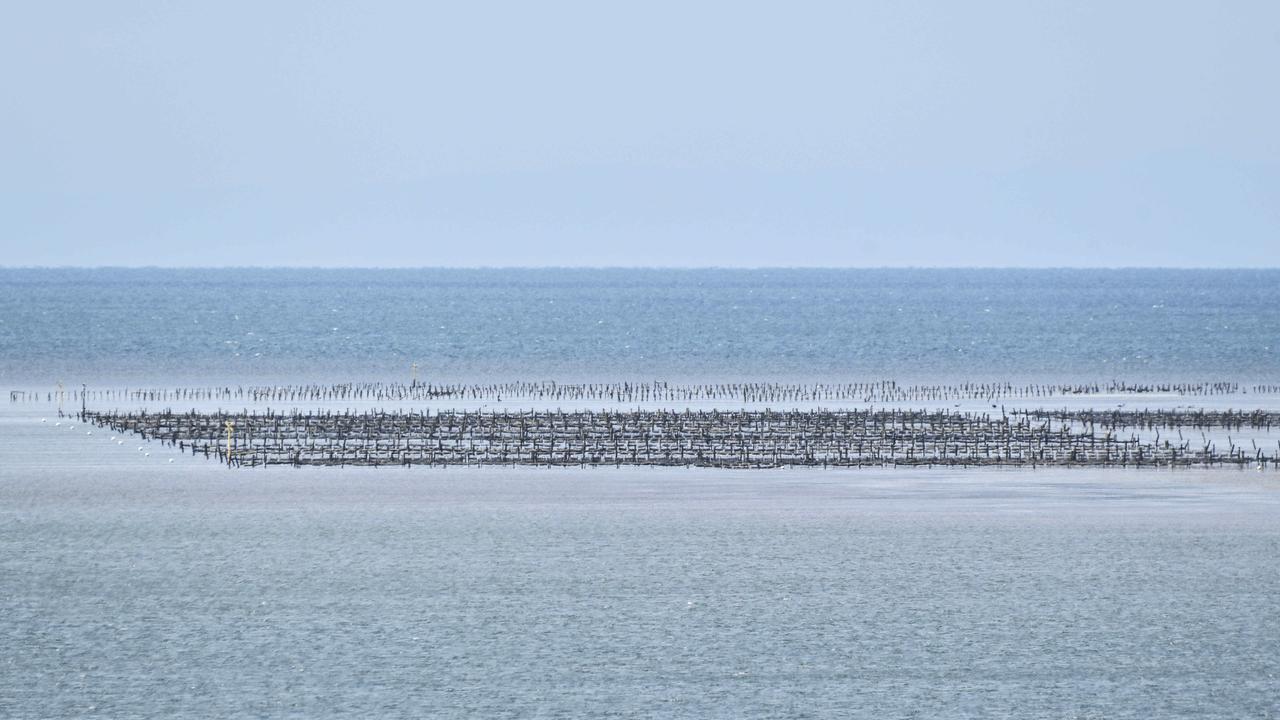 Oyster bed at Stansbury on Yorke Peninsula. Picture: Brenton Edwards