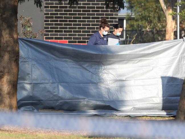 Police at the scene of the stabbing. Picture: David Crosling