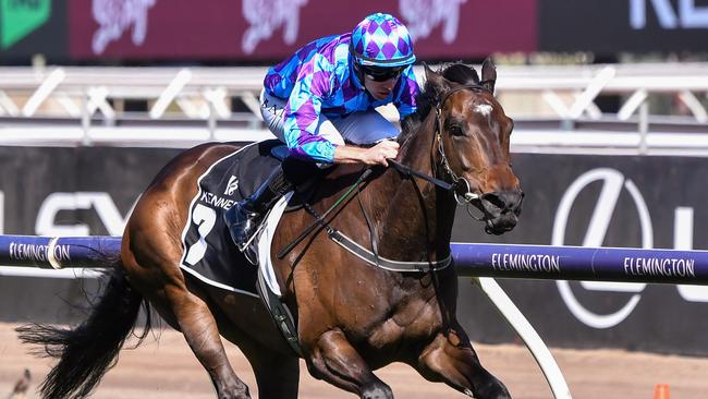 Pride Of Jenni wins the Kennedy Champions Mile at Flemington in 2023.Picture: Pat Scala/Racing Photos via Getty Images