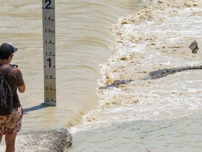 A tourist risks his life to get a close-up photo of a big croc catching fish during high tide at Cahills Crossing. Picture: Sue English