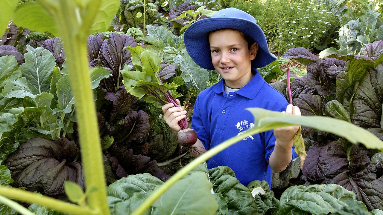 Mani Hart-Deville with a beetroot grown in the vegetable garden at Wooli Public School in NSW. Picture: Sandy Scheltema