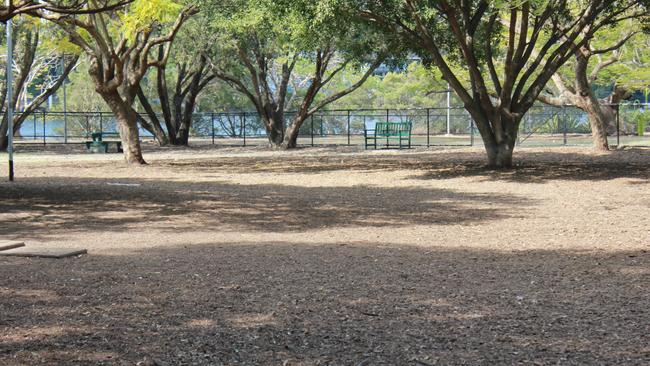 Powerhouse dog park in 2018. Photo. Andrea Macleod.