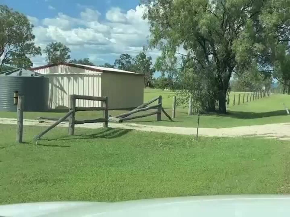 Reports of vehicle rammed, damaged fence