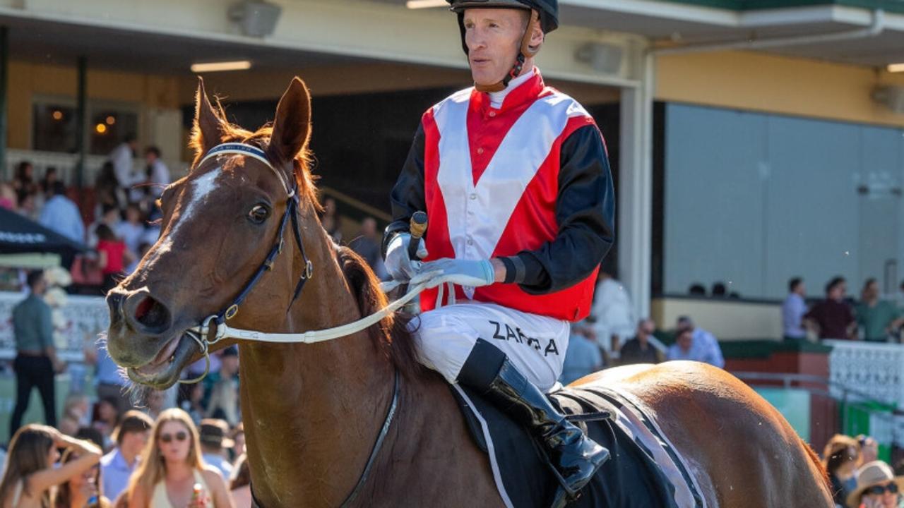 Simon Miller's much-loved stable stalwart Valour Road will be trying to turn back time in the $1.5m Gold Rush in Perth on Saturday. Picture: Western Racepix.