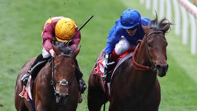 Craig Williams on Anamoe (right) narrowly missed out on another Cox Plate last week. Picture: Michael Klein