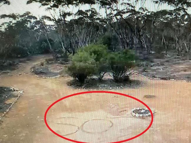 The SOS message was spotted by a homeowner on his CCTV camera. Picture: Channel 9