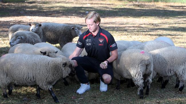 Essendon footballer Darcy Parish back on the family farm at Wensleydale earlier this year. Picture: Yuri Kouzmin