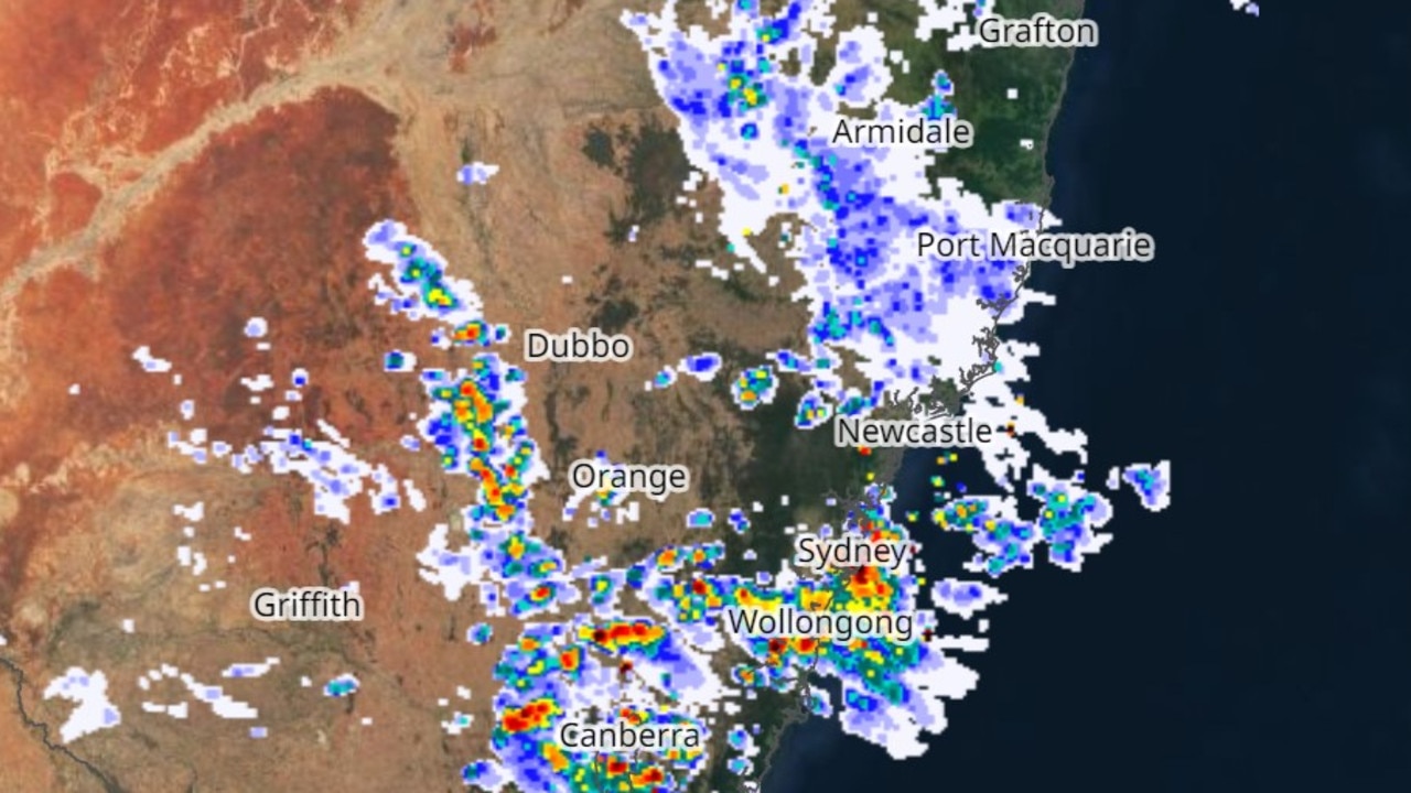 Rainfall on the east coast on Monday. Picture: Willy Weather